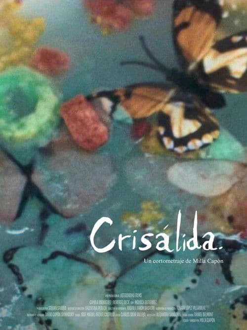 Crisálida poster