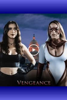 Vengeance poster