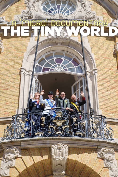 The Tiny World poster