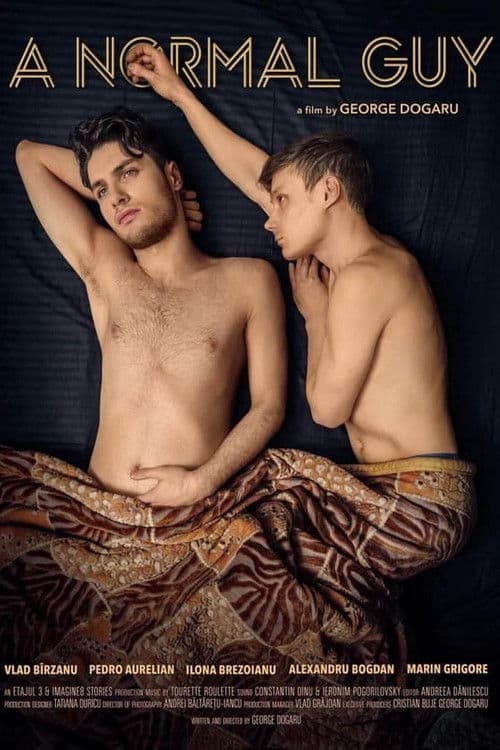 A Normal Guy poster