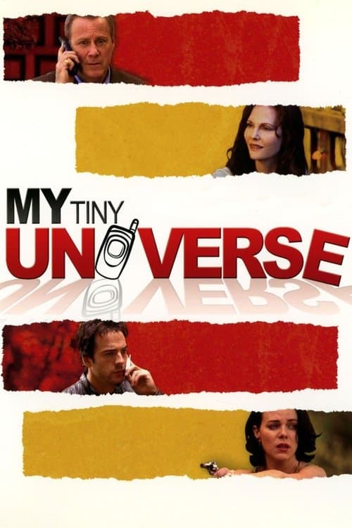 My Tiny Universe poster