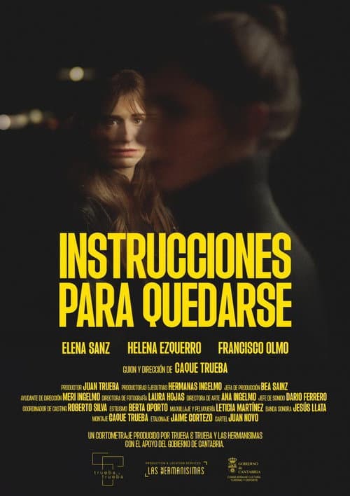 Instrucciones para quedarse poster