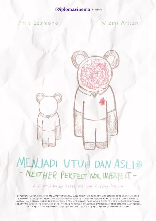 Neither Perfect Nor Imperfect poster
