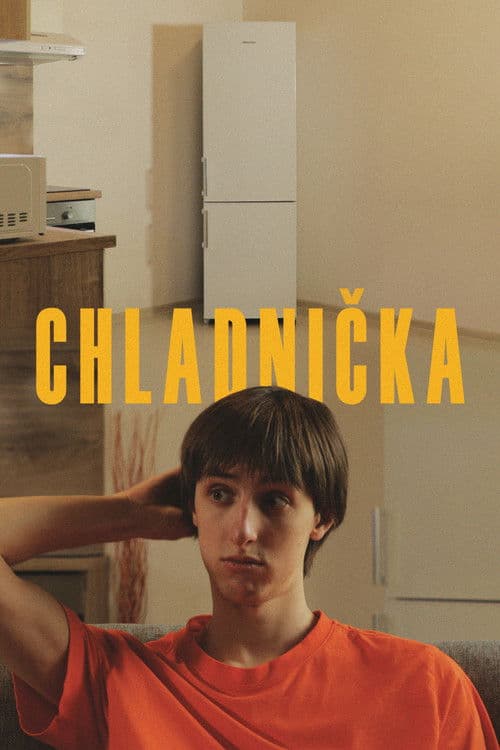 Chladnička poster