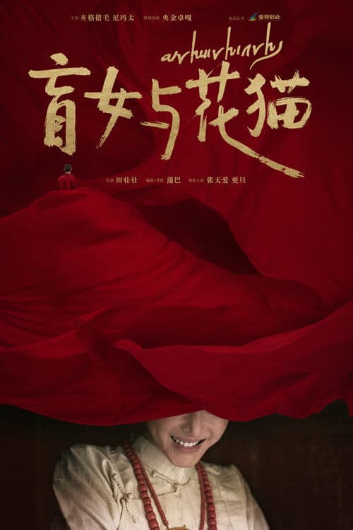 盲女与花猫 poster