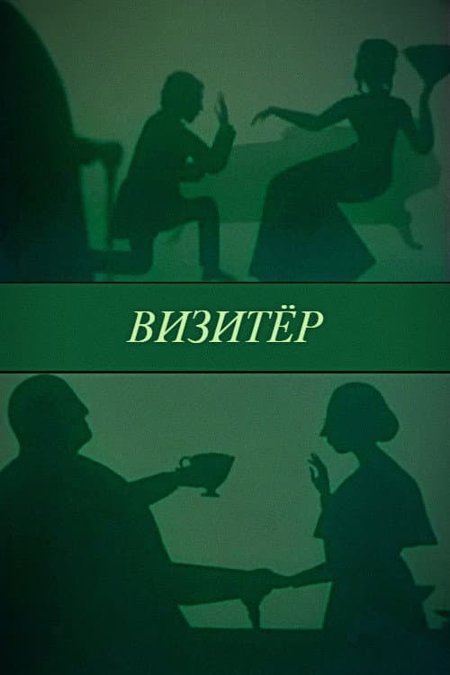 The Visitor poster
