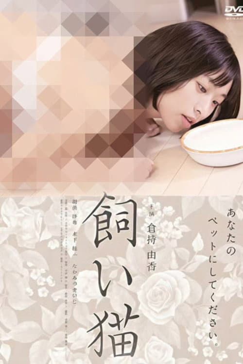 飼い猫 poster