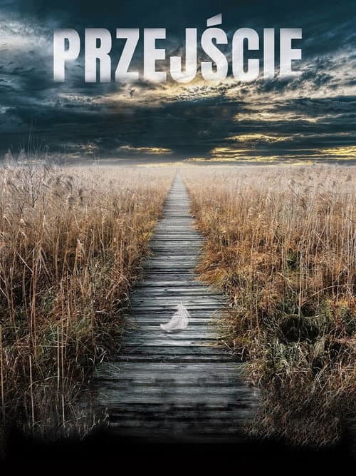 The Passage poster