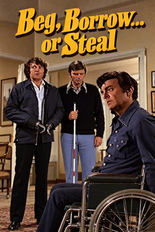 Beg, Borrow...or Steal poster