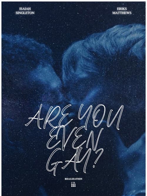 Are You Even Gay poster