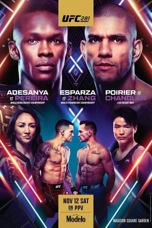UFC 281: Adesanya vs. Pereira poster