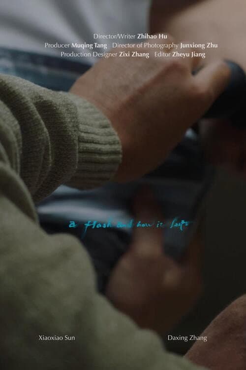 A Flash and How It Lasts poster