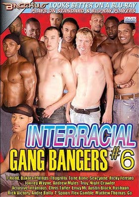 Interracial Gang Bangers 6 poster