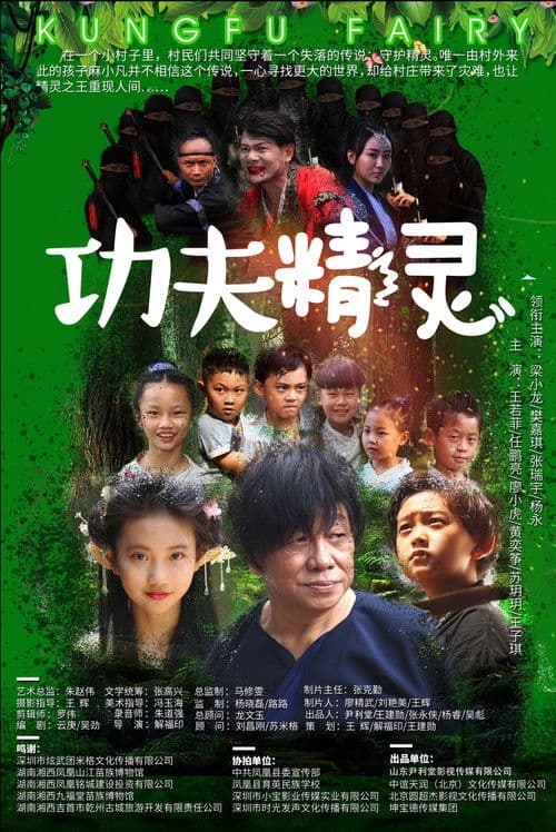 功夫精灵 poster