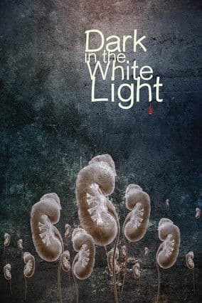 Dark in the White Light poster