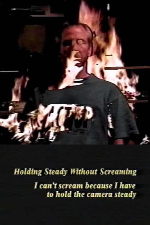 Holding Steady Without Screaming poster