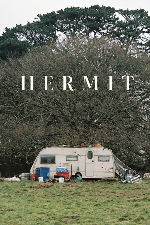 Hermit poster