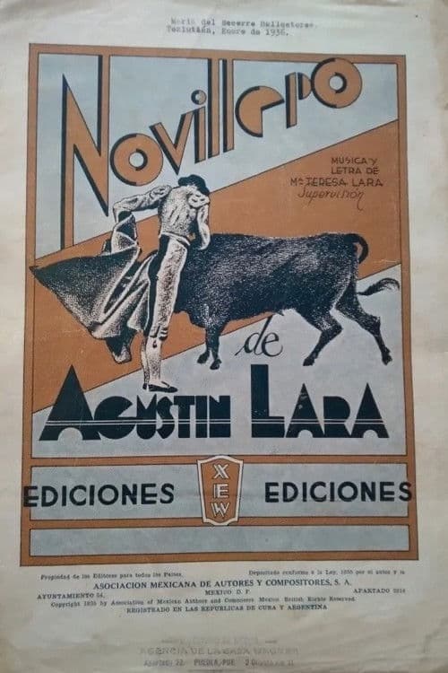 Novillero poster