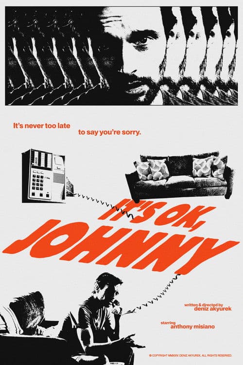 It's OK, Johnny poster