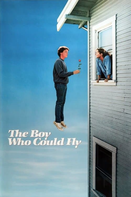 The Boy Who Could Fly poster