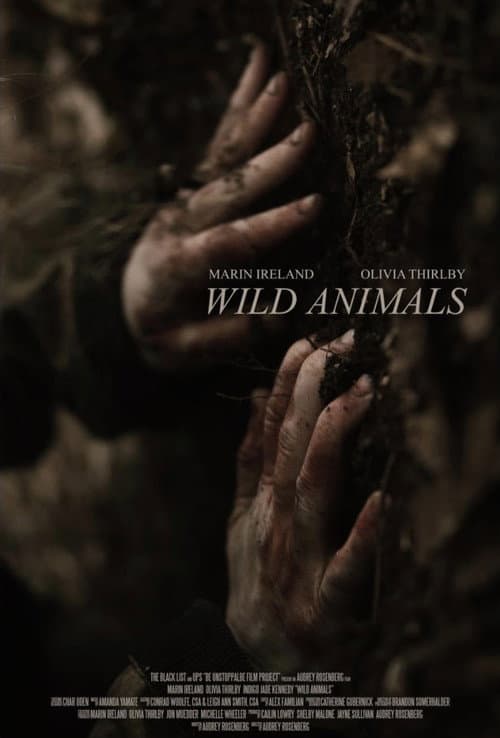 Wild Animals poster