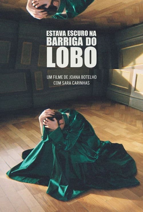 Estava Escuro na Barriga do Lobo poster