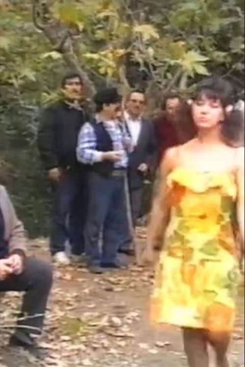 Gabros me to zori poster