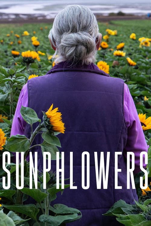 Sunphlowers poster