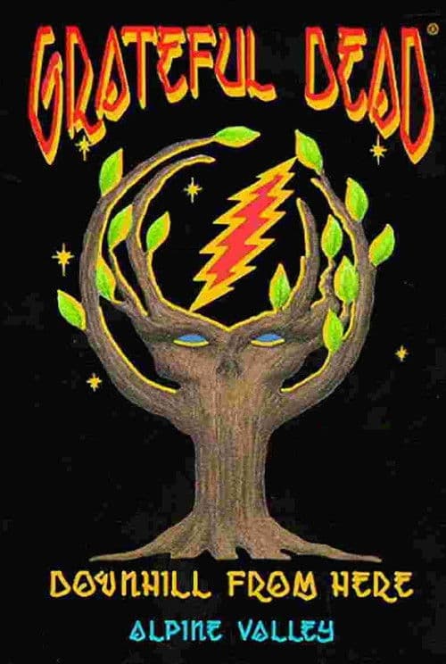 Grateful Dead: Downhill from Here poster