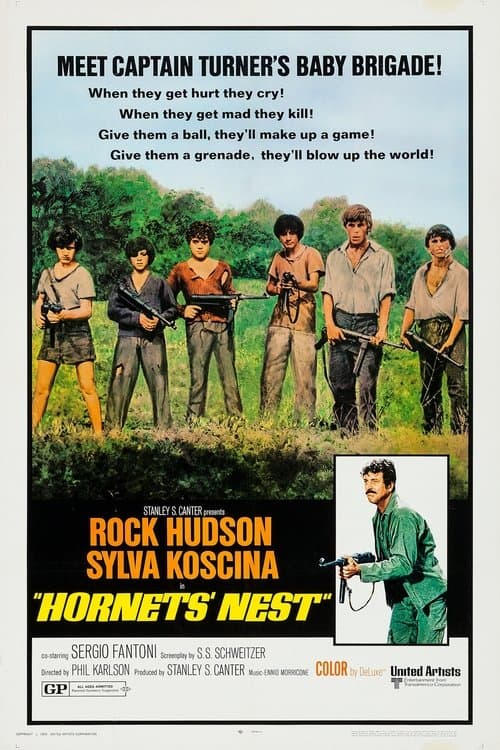 Hornets' Nest poster