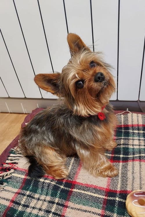 Tobías profile photo