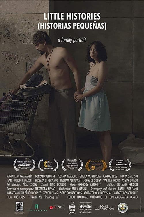 Little Histories poster