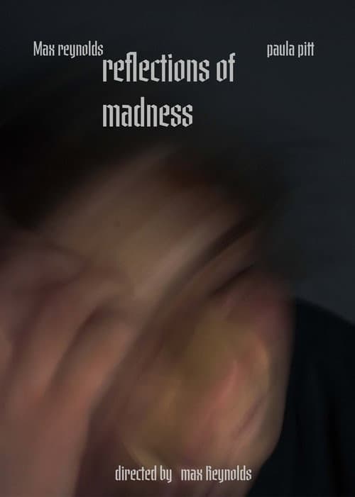Reflections of madness poster