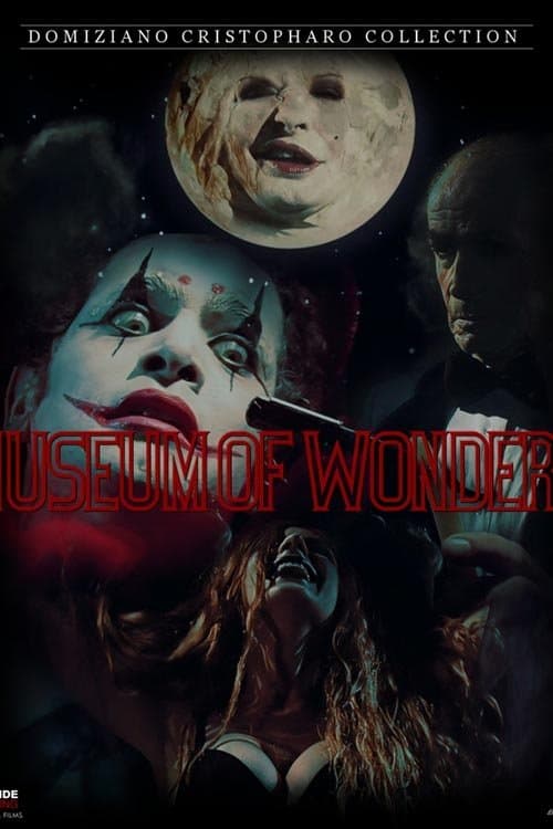 The Museum Of Wonders poster