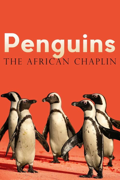 Penguins: The African Chaplin poster