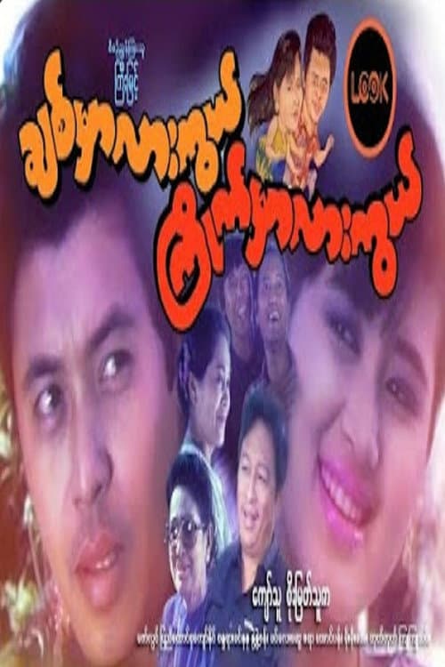 Will You Love Me or Will You like Me? poster