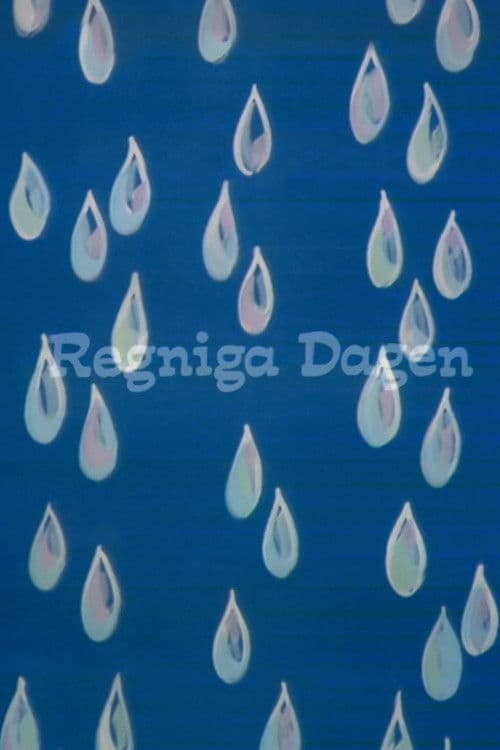 The Rainy Day poster