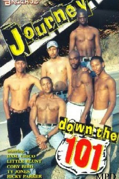 Journey Down the 101 poster