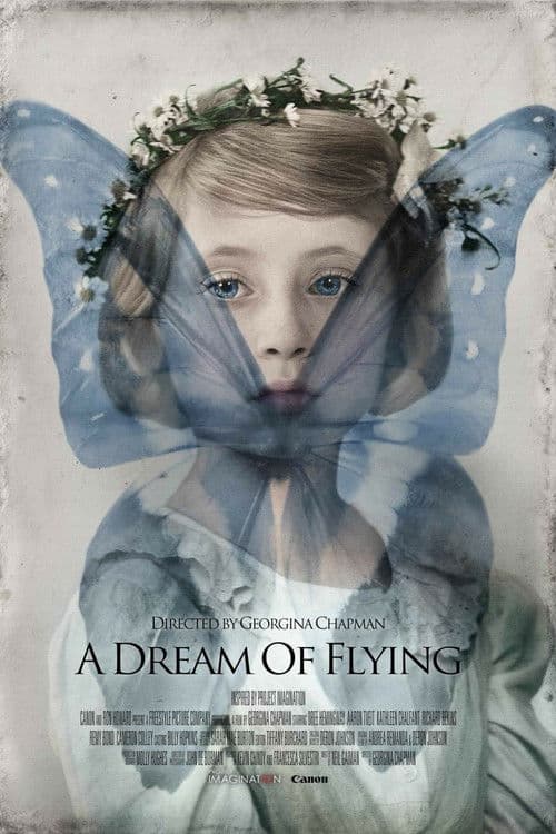 A Dream of Flying poster