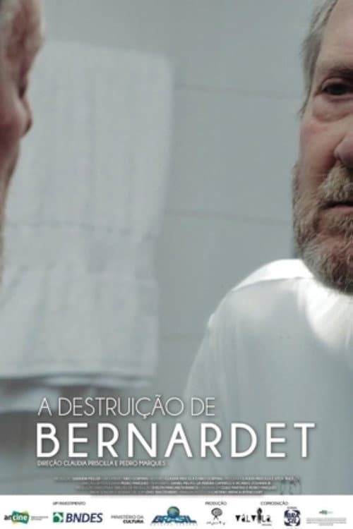 The Destruction of Bernardet poster