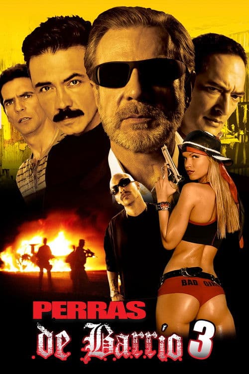 Perras de barrio 3 poster