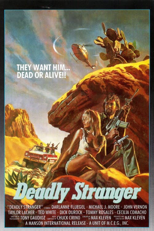 Deadly Stranger poster