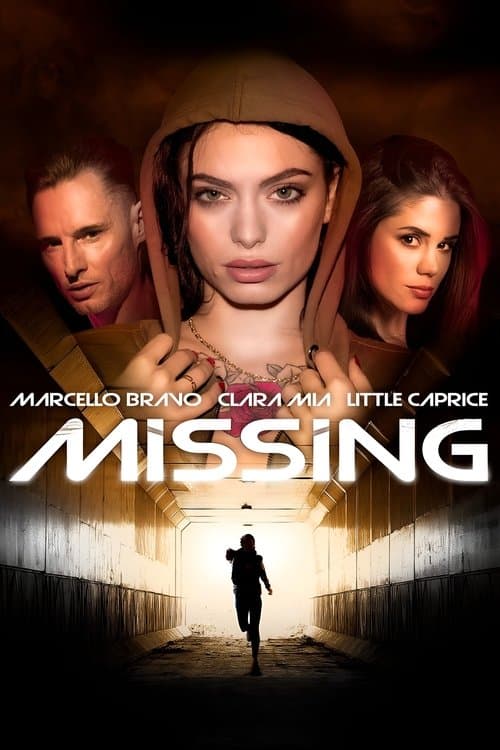 Missing poster