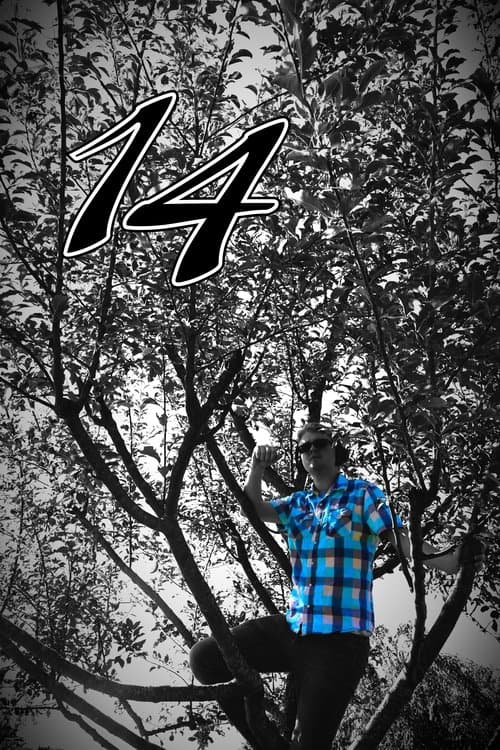 14 poster