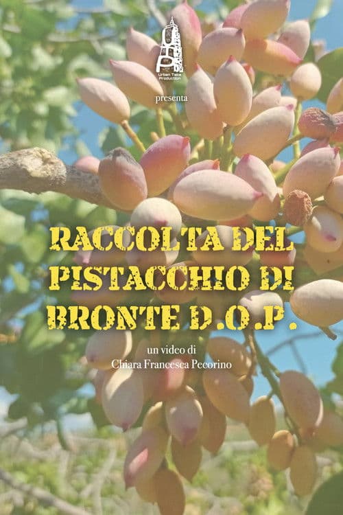 Raccolta del pistacchio di Bronte D.O.P. poster