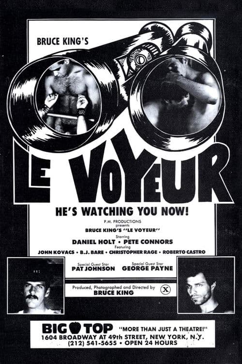 Le Voyeur poster