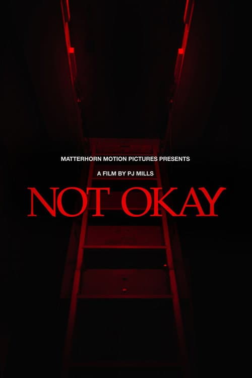 Not Okay poster