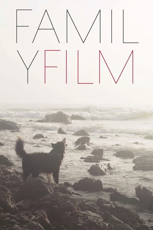 Family Film poster
