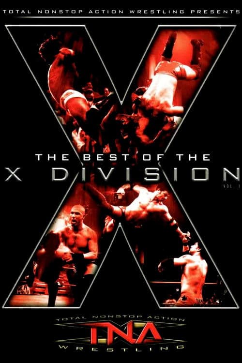 The Best of the X Division Vol. 1 poster