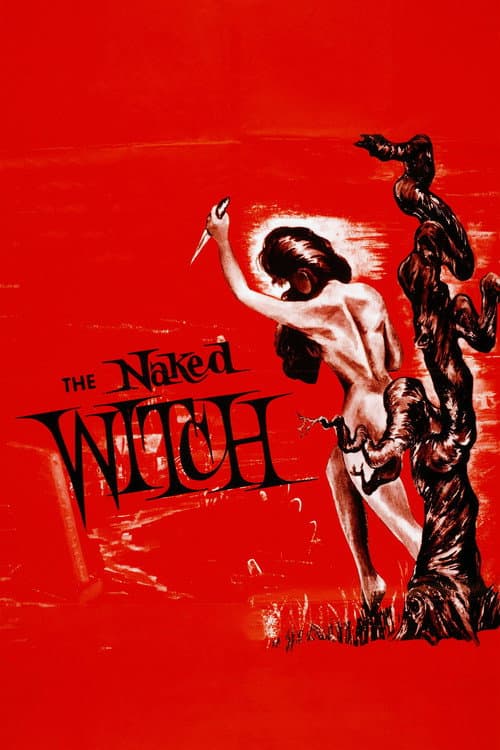 The Naked Witch poster